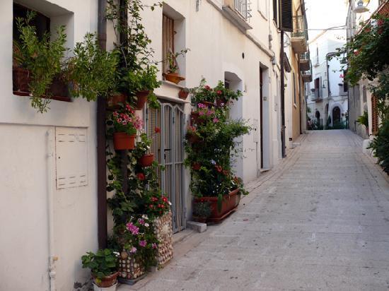 Residenza Borgo Antico Termoli Exterior foto